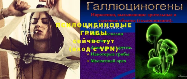 гашик Абдулино