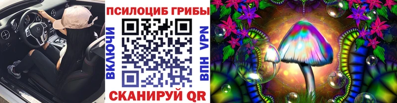 Псилоцибиновые грибы MAGIC MUSHROOMS  Трубчевск 