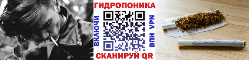 Шишки марихуана индика  Трубчевск 
